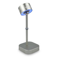 Licht Grijs